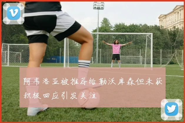 阿韦洛亚被推荐给勒沃库森但未获积极回应引发关注